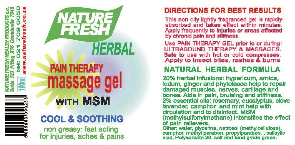 Herbal Pain Therapy Massage Gel